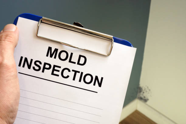 Best Airborne Mold Testing  in Cheyenne, WY